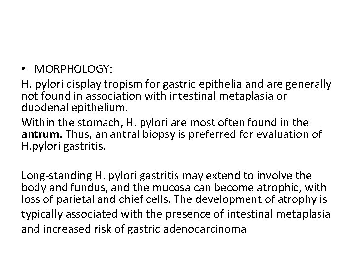  • MORPHOLOGY: H. pylori display tropism for gastric epithelia and are generally not