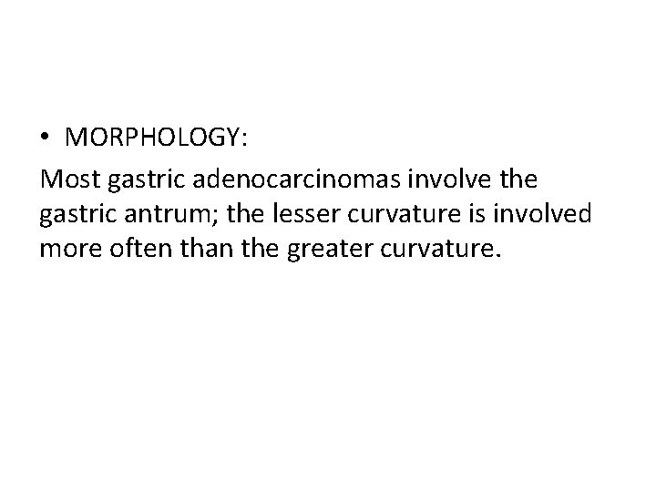  • MORPHOLOGY: Most gastric adenocarcinomas involve the gastric antrum; the lesser curvature is