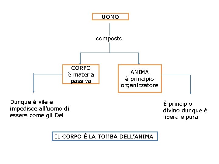 UOMO composto CORPO è materia passiva ANIMA è principio organizzatore Dunque è vile e