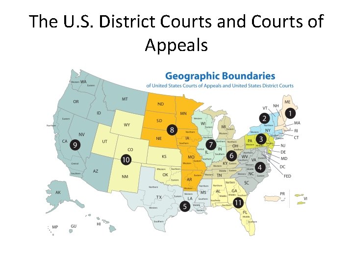 The U. S. District Courts and Courts of Appeals 