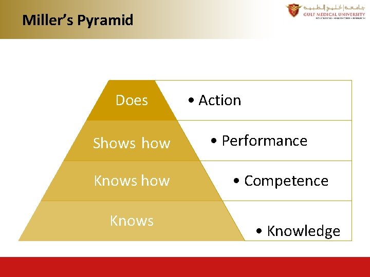 Miller’s Pyramid Does Shows how Knows • Action • Performance • Competence • Knowledge Miller’s Pyramid Does Shows how Knows • Action • Performance • Competence • Knowledge
