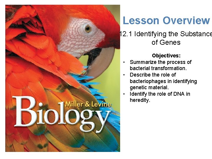 Lesson Overview 12. 1 Identifying the Substance of Genes Objectives: • Summarize the process