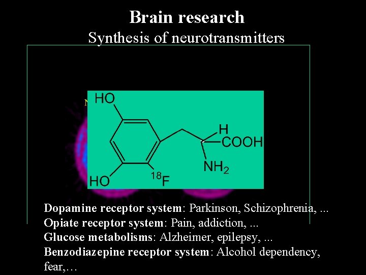 Brain research Synthesis of neurotransmitters Dopamine receptor system: Parkinson, Schizophrenia, . . . Opiate