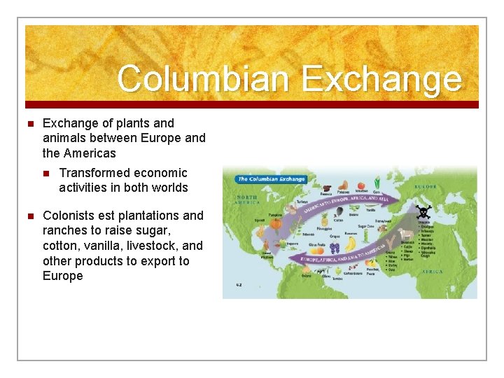 Columbian Exchange of plants and animals between Europe and the Americas n n Transformed