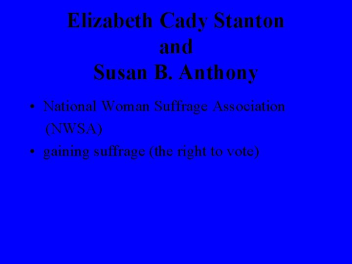 Elizabeth Cady Stanton and Susan B. Anthony • National Woman Suffrage Association (NWSA) •