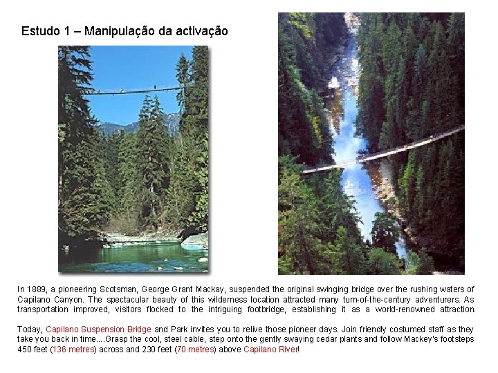 Dutton D G Aron A P 1974 Some