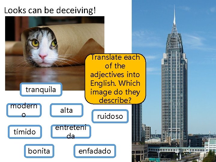 Looks can be deceiving! Translate each of the adjectives into English. Which image do