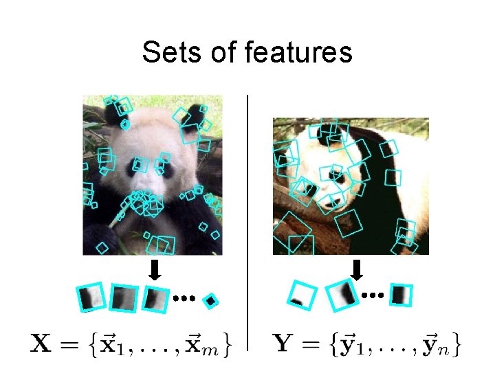 Sets of features 