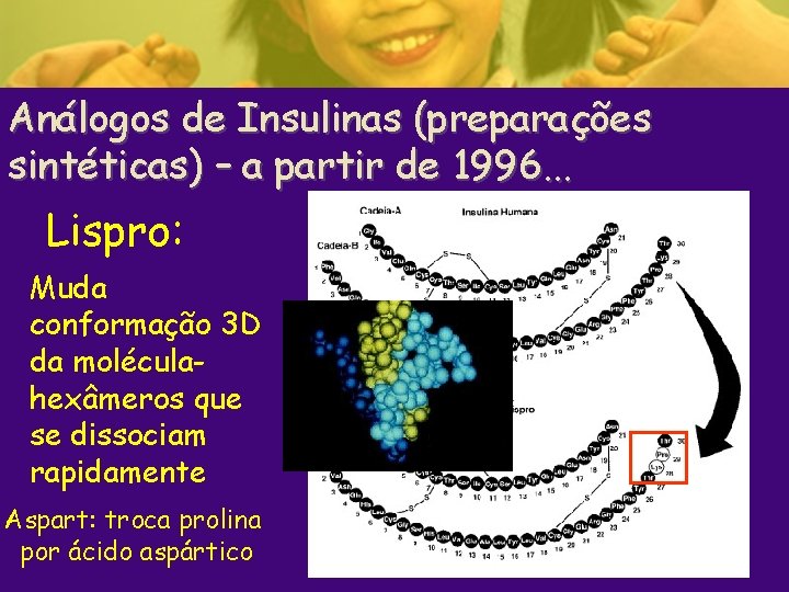 Análogos de Insulinas (preparações sintéticas) – a partir de 1996. . . Lispro: Muda