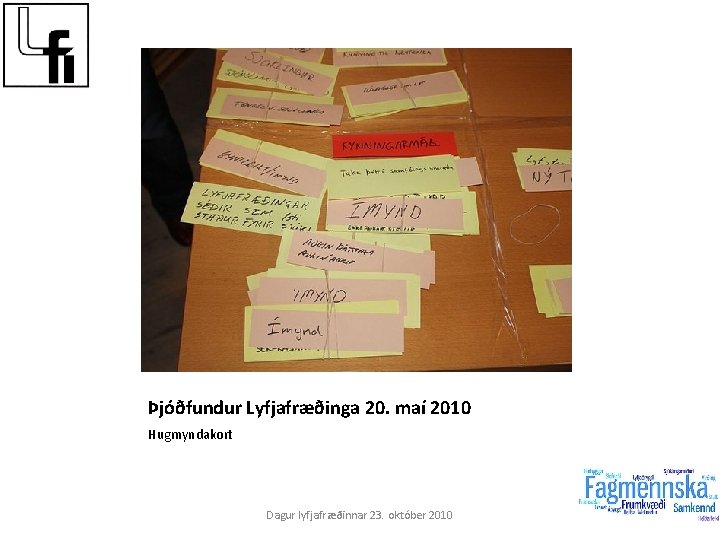 Þjóðfundur Lyfjafræðinga 20. maí 2010 Hugmyndakort Dagur lyfjafræðinnar 23. október 2010 