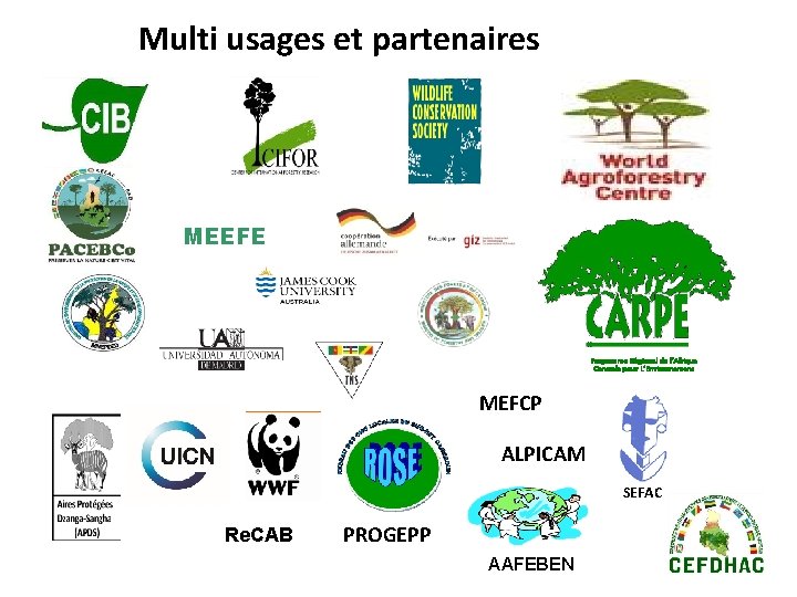 Multi usages et partenaires MEEFE Programme Régional de l’Afrique Centrale pour L’Environnement MEFCP ALPICAM