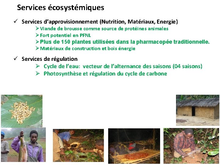 Services écosystémiques ü Services d’approvisionnement (Nutrition, Matériaux, Energie) ØViande de brousse comme source de