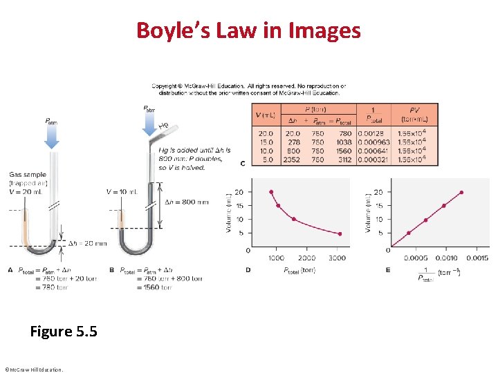 Boyle’s Law in Images Figure 5. 5 ©Mc. Graw-Hill Education. 