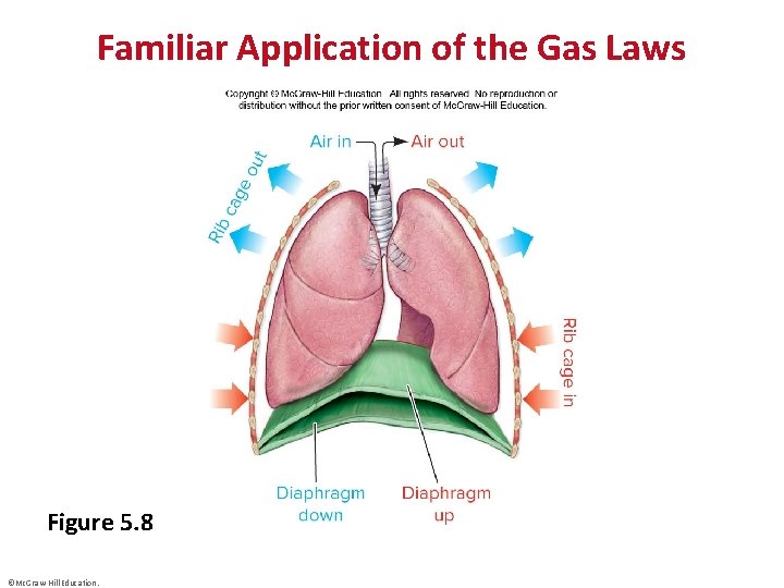 Familiar Application of the Gas Laws Figure 5. 8 ©Mc. Graw-Hill Education. 