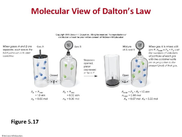 Molecular View of Dalton’s Law Figure 5. 17 ©Mc. Graw-Hill Education. 