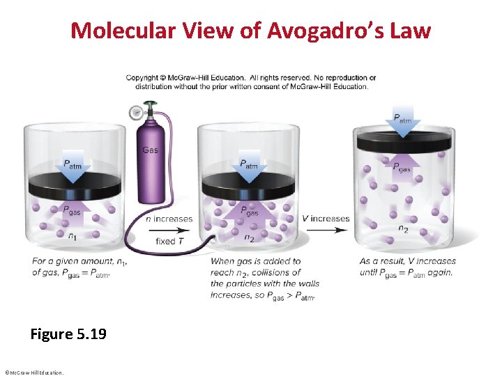 Molecular View of Avogadro’s Law Figure 5. 19 ©Mc. Graw-Hill Education. 