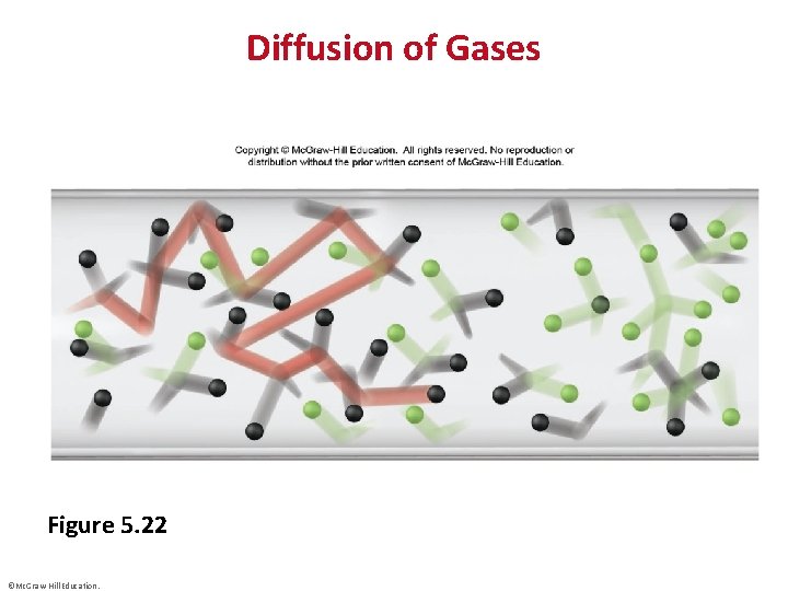Diffusion of Gases Figure 5. 22 ©Mc. Graw-Hill Education. 