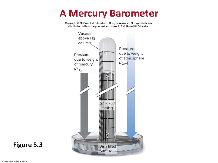 A Mercury Barometer Figure 5. 3 ©Mc. Graw-Hill Education. 