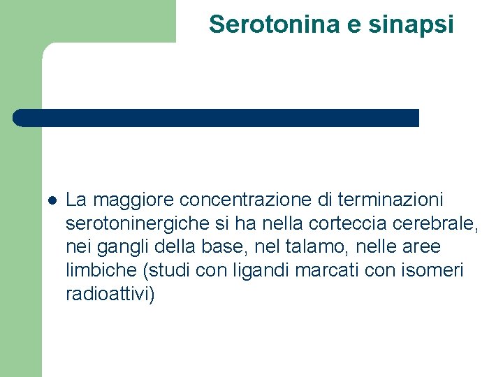 Serotonina e sinapsi l La maggiore concentrazione di terminazioni serotoninergiche si ha nella corteccia