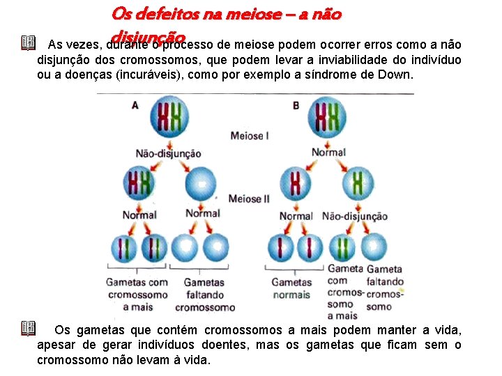 Os defeitos na meiose – a não disjunção As vezes, durante o processo de