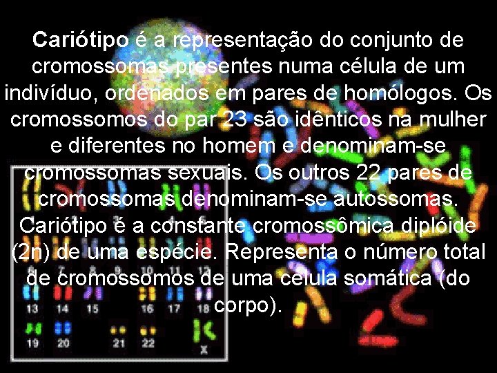 Cariótipo é a representação do conjunto de cromossomas presentes numa célula de um indivíduo,