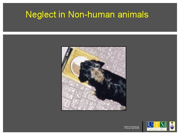 Neglect in Non-human animals 7/02/2006 