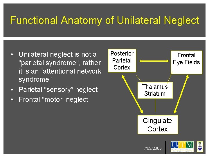 Functional Anatomy of Unilateral Neglect • Unilateral neglect is not a “parietal syndrome”, rather