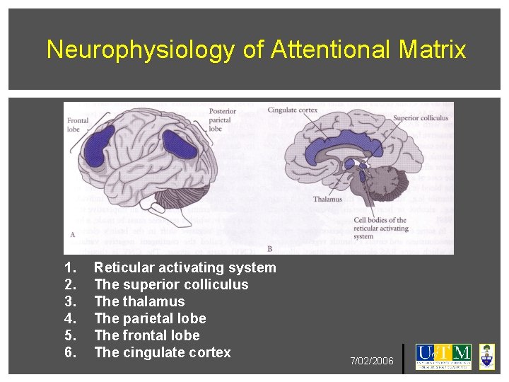 Neurophysiology of Attentional Matrix 1. 2. 3. 4. 5. 6. Reticular activating system The