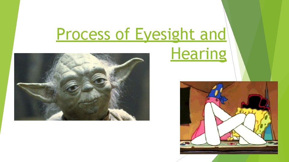 Process of Eyesight and Hearing 