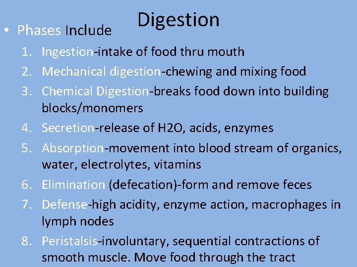  • Phases Include Digestion 1. Ingestion-intake of food thru mouth 2. Mechanical digestion-chewing