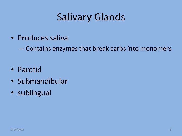 Salivary Glands • Produces saliva – Contains enzymes that break carbs into monomers •