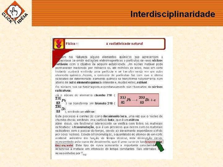 Interdisciplinaridade 