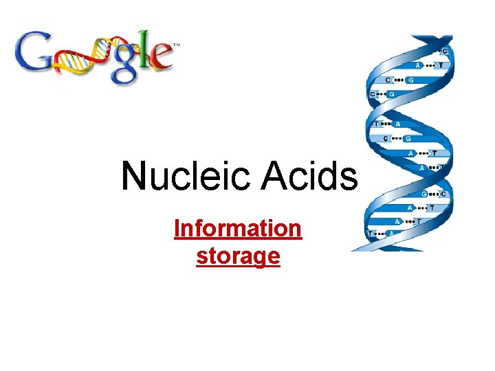 Nucleic Acids Information storage 