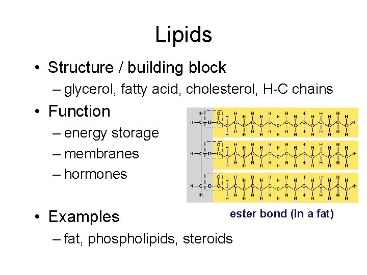 Lipids • Structure / building block – glycerol, fatty acid, cholesterol, H-C chains •