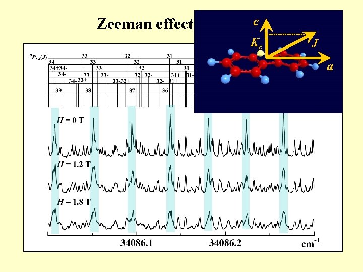 c Zeeman effect （443 cm-1 band） Kc J a 