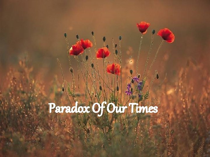 Paradox Of Our Times 
