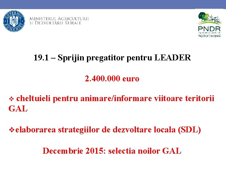 19. 1 – Sprijin pregatitor pentru LEADER 2. 400. 000 euro cheltuieli pentru animare/informare