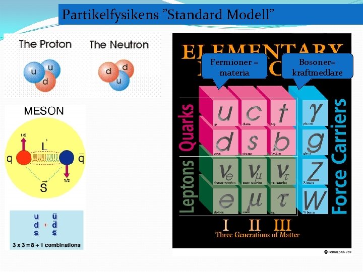 Partikelfysikens ”Standard Modell” Fermioner = materia 1950 - 1968 Bosoner= kraftmedlare 