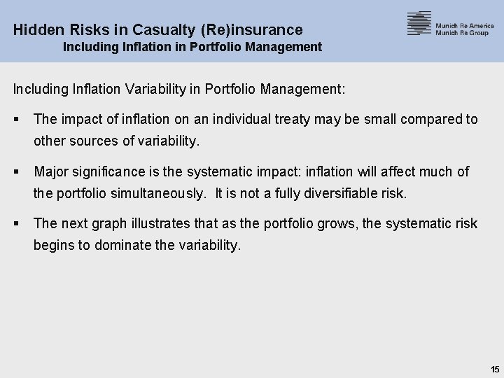 Hidden Risks in Casualty (Re)insurance Including Inflation in Portfolio Management Including Inflation Variability in