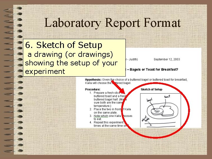 Laboratory Report Format 6. Sketch of Setup a drawing (or drawings) showing the setup