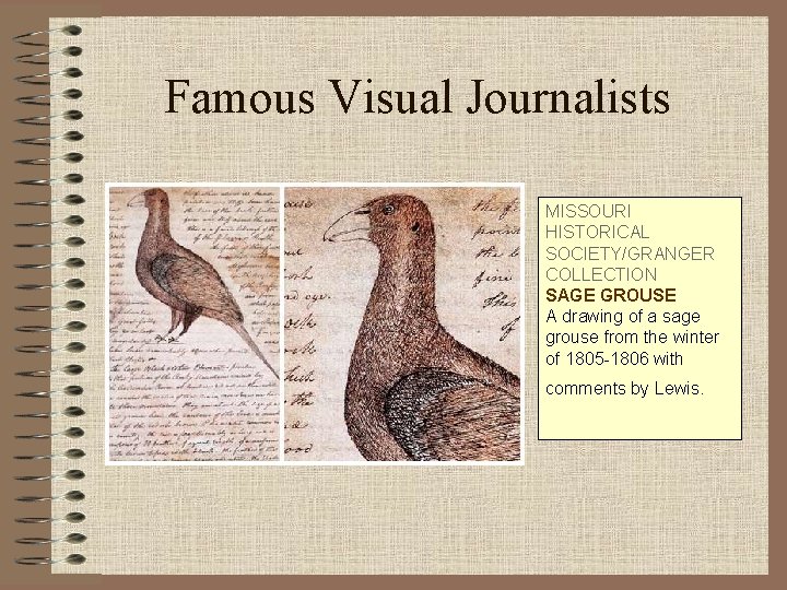 Famous Visual Journalists MISSOURI HISTORICAL SOCIETY/GRANGER COLLECTION SAGE GROUSE A drawing of a sage