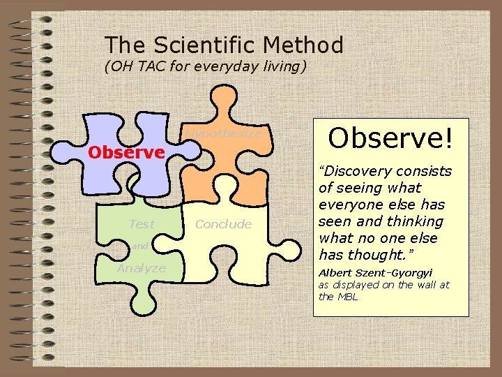 The Scientific Method (OH TAC for everyday living) Hypothesize Observe Test and Analyze Conclude