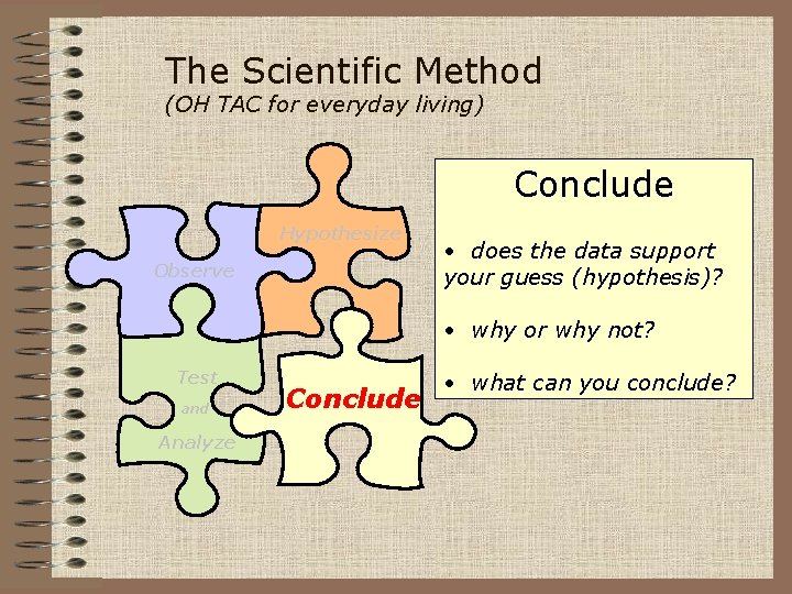 The Scientific Method (OH TAC for everyday living) Conclude Hypothesize Observe • does the