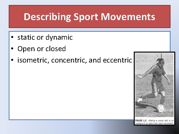 Describing Sport Movements • static or dynamic • Open or closed • isometric, concentric, Describing Sport Movements • static or dynamic • Open or closed • isometric, concentric,