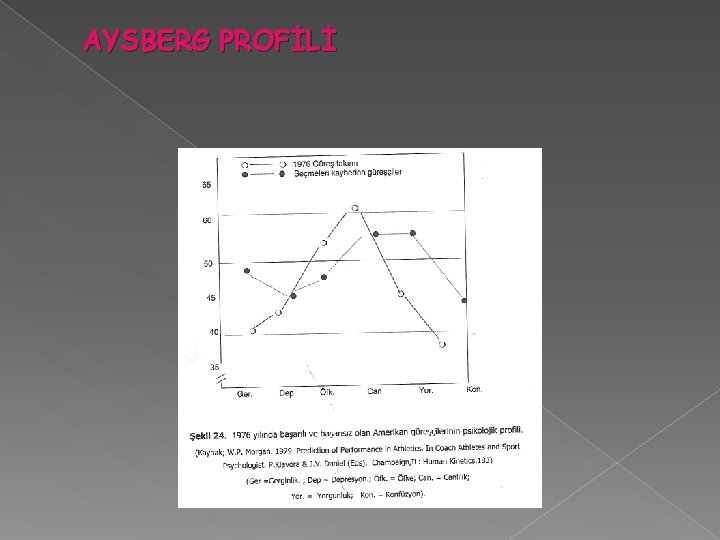 AYSBERG PROFİLİ 