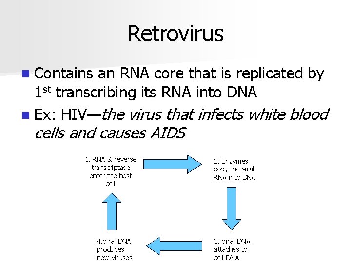 Retrovirus n Contains an RNA core that is replicated by 1 st transcribing its
