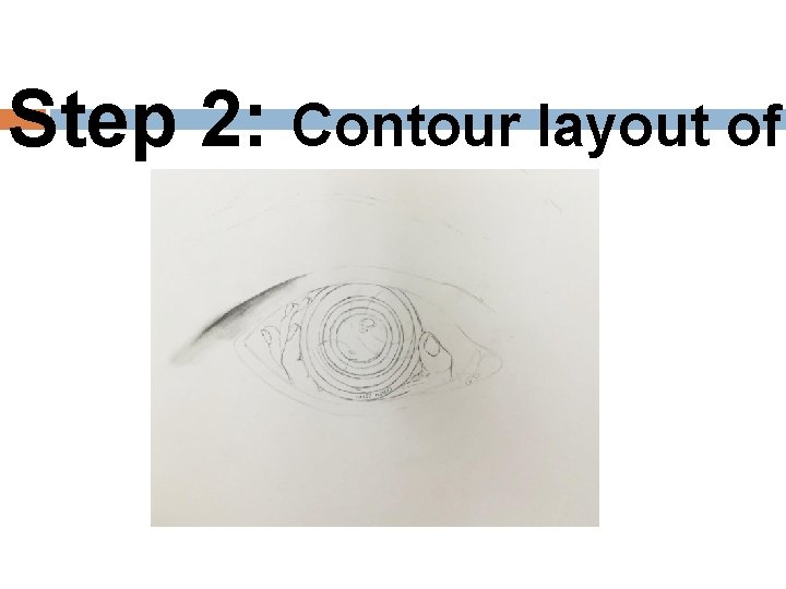 Step 2: Contour layout of 