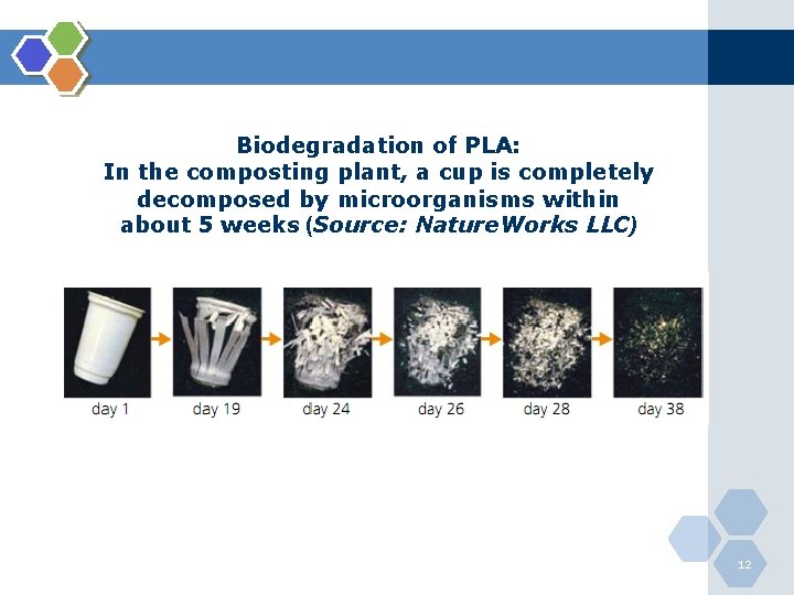 Biodegradation of PLA: In the composting plant, a cup is completely decomposed by microorganisms