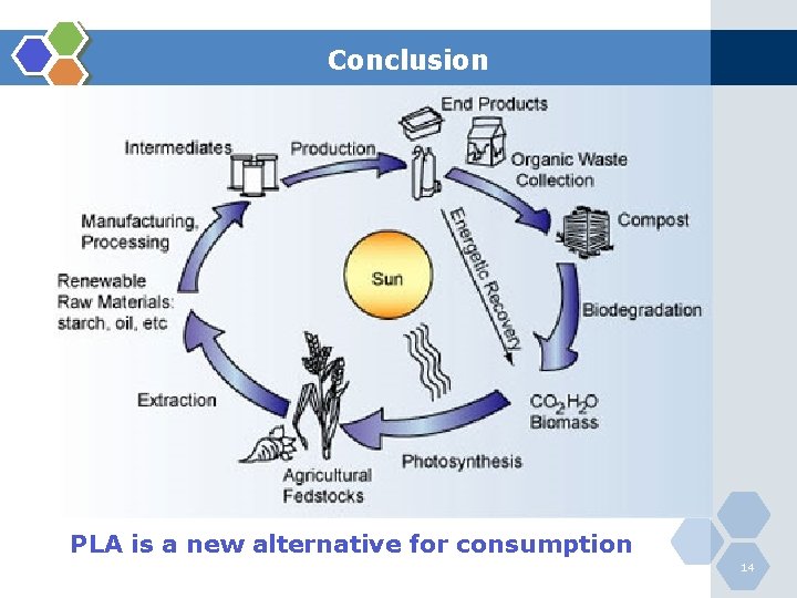 Conclusion PLA is a new alternative for consumption 14 