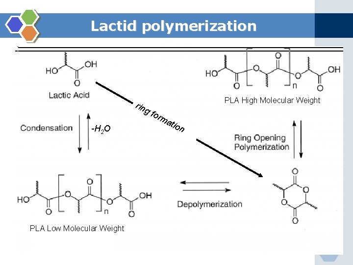 Lactid polymerization rin gf PLA High Molecular Weight -H 2 O orm atio n